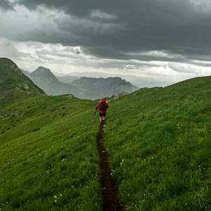 Meet your Posher, Alex